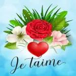good night