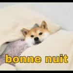 Bonnenuit *A demain siDieu veut