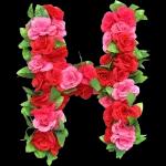 TU ME MANQUES! 6 Gewoo