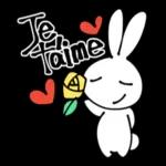 Lapin mignon