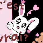Bonne Nuit