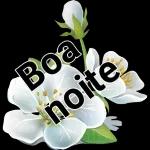 Boa noite