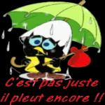 très très très bien 