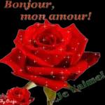 Bjr, je t'aime très fort