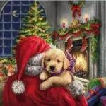 Joyeux Noël🎄🎄🎄