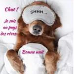la lune 🌜 n'a pas apparu ce soir 