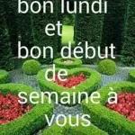 BONJOUR
Mr Geekyle