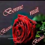 Bonne nuit bisous