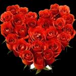 je t'aime de tout mon
