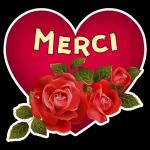 MERCI