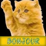 journée heureuse