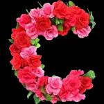 🌹Abecedario Rosas🌹by Yessy