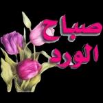 تدمر في عاية الله وحفظة