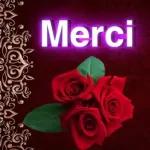 réveillé...
BONJOUR
Je te souhaite
une Excellente
Journée
@marvalila du monder
Omary une Ex
Gros
Bisous