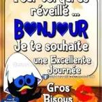 autocollants recommandés