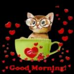 bonne journée mon chéri ☀️