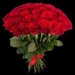 TU TE FOU DE
MA GUEULE LA?