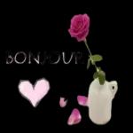 BONJOUR.
w