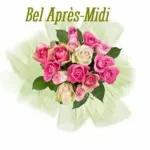 Bel après-midi