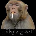 Je t aime pour la vie