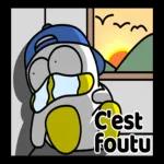 caneton mignon