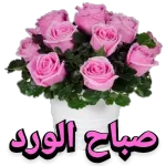 مساء الورد