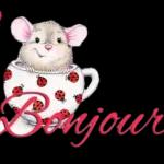 Bonjour