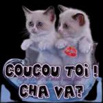 Te t'embrass
...partout