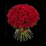 Tu es tout ce que j'ai