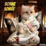 SI TU
ES LÅ
Merveille
J'AI UN
BISOU POUR TOI