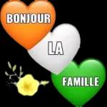 The cat is black and white.