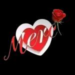 je t'aime de tout mon