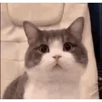 Bonne Journée !