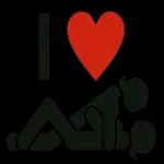 سون بارك الله فيك