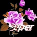 OHffaele Raffaello Conlelleria Raffaello Daflanio pay Pallac Qaffaello