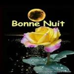 Je t'embrasse