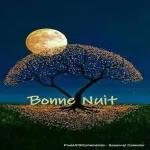 Si je pouvais revivre ma vie, je te trouverais plus tôt... Pour t'aimer plus longtemps... amour-poemes.com