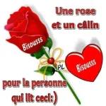 Bisousss
Une rose
et un câlin
PL
pour la personne
qui lit ceci:)
Bisousss