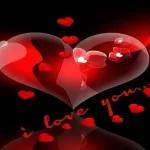 اللهم صل على
محمد وآل محمد