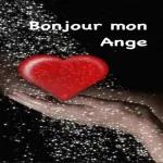 vais voir ton cas
33