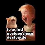 tu as fait quelque chose de stupide