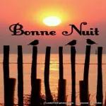 bonne nuit