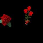 انت تور ما تفهم؟