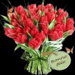 BON REVEILLON ET JOYEUX NOEL Bisons