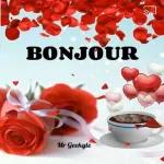 BONJOUR
Mr Geekyle
