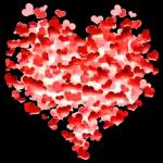 SI TU DIZ TÁ DIZIDO