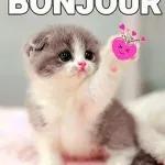 Un non début du journée