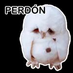 perdón