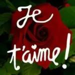 Bisous Bisous