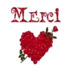 merci rose